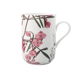 Everything_but_Flowers_Maxwell & Williams Botanic Mug (2 Designs)