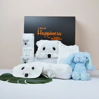 Everything_but_Flowers_New Baby Boy Koala Hamper