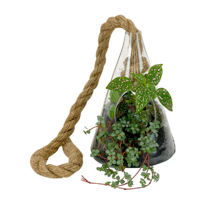 Everything_but_Flowers_Hanging Plant Terrarium - Cone