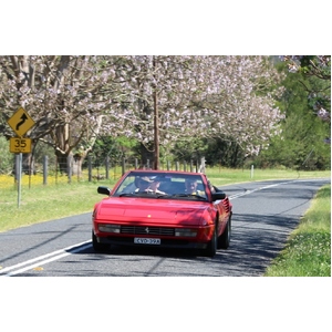 Everything_but_Flowers_Ferrari Joy Ride, Six Bridges of Sydney